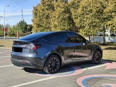 Tesla Model Y Rear-Wheel Drive - ფოტო 6