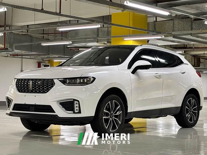 Great Wall WEY VV5 1.5T Two-Wheel Drive Color Pioneer - ავტომობილი ჩინეთიდან