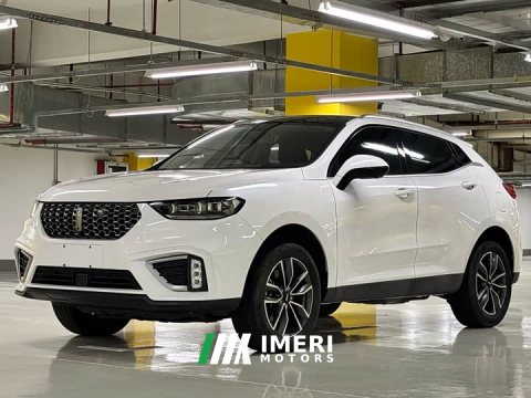 2021 Great Wall WEY VV5 1.5T Two-Wheel Drive Color Pioneer - ავტომობილი ჩინეთიდან