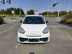 SAIC Corey Wei CLEVER 302km New Four-Seat Super Version - ფოტო 2