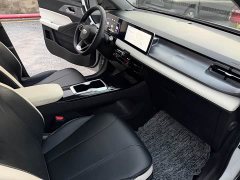 Geely Geometry E Firefly 2023 401KM Lightning Tiger 5-Seater - ფოტო 9