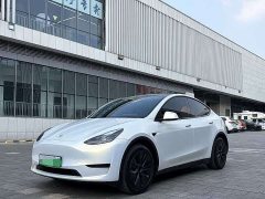 Tesla Model Y Rear-Wheel Drive - ფოტო 1