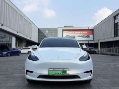 Tesla Model Y Rear-Wheel Drive - ფოტო 2