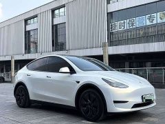 Tesla Model Y Rear-Wheel Drive - ფოტო 3
