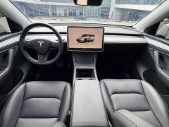Tesla Model Y Rear-Wheel Drive - ფოტო 6