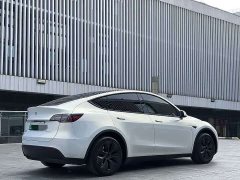 Tesla Model Y Rear-Wheel Drive - ფოტო 8