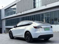 Tesla Model Y Rear-Wheel Drive - ფოტო 9