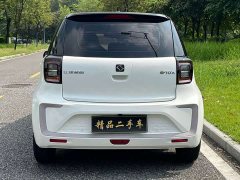 Flower Fairy Jimei Edition 302km Luxury - photo 15