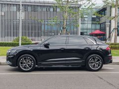 Audi Q8 55 TFSI Luxury Sport - ფოტო 2