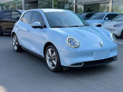 ORA Good Cat Morandi Edition 400km Standard Range Luxury Trim LFP - ფოტო 3