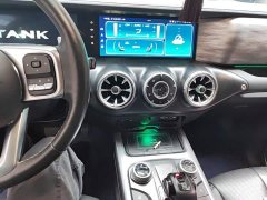 Tank 300 Off-Road Edition 2.0T Conqueror - ფოტო 9