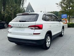 Skoda Comic 1.5L Manual Standard - ფოტო 5