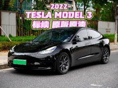 Tesla Model 3 Rear-Wheel Drive - ფოტო 1