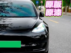 Tesla Model 3 Rear-Wheel Drive - ფოტო 2