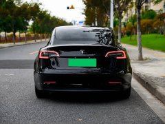 Tesla Model 3 Rear-Wheel Drive - ფოტო 5