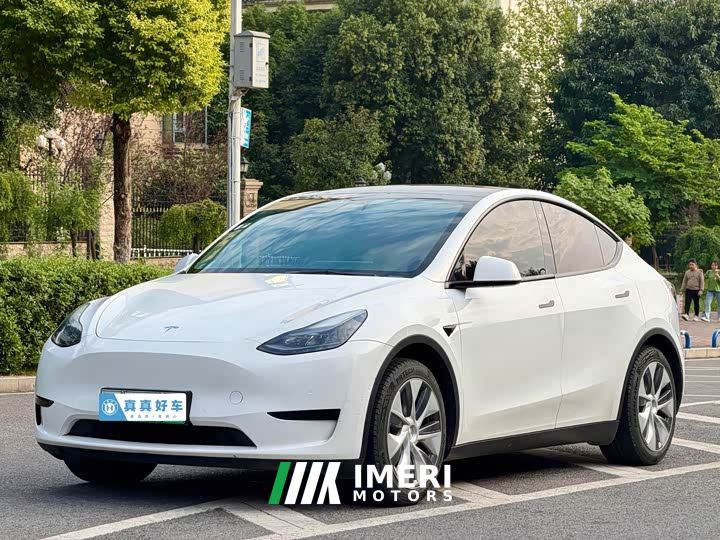 Tesla Model Y Rear-Wheel Drive