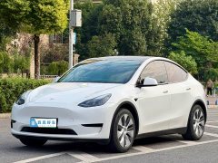 Tesla Model Y Rear-Wheel Drive - ფოტო 1