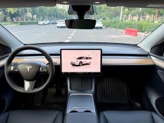 Tesla Model Y Rear-Wheel Drive - ფოტო 10