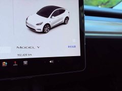 Tesla Model Y Rear-Wheel Drive - ფოტო 11