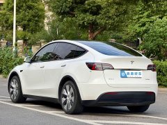 Tesla Model Y Rear-Wheel Drive - ფოტო 6