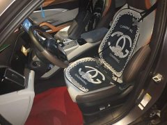 BYD Song Pro New Energy DM-i 51km Premium - ფოტო 11
