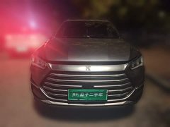 BYD Song Pro New Energy DM-i 51km Premium - ფოტო 2