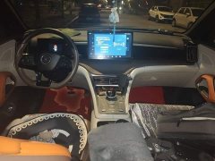 BYD Song Pro New Energy DM-i 51km Premium - ფოტო 5