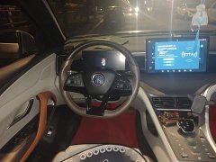 BYD Song Pro New Energy DM-i 51km Premium - ფოტო 6