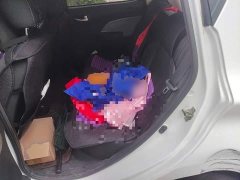 Changan Benben E-Star National Edition Joyful Edition LFP Battery (31.86kWh) - ფოტო 13