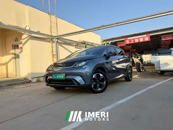 BYD Dolphin Glory Edition 420km Fashion Version - ავტომობილი ჩინეთიდან