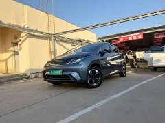 BYD Dolphin Glory Edition 420km Fashion Version - ფოტო 1