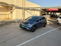 BYD Dolphin Glory Edition 420km Fashion Version - ფოტო 2