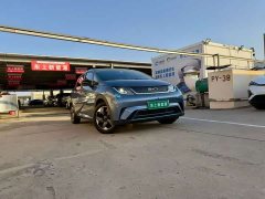 BYD Dolphin Glory Edition 420km Fashion Version - ფოტო 3