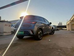 BYD Dolphin Glory Edition 420km Fashion Version - ფოტო 7