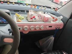 FAW Besturn Xiaoma 222km Dynamic Edition - ფოტო 9