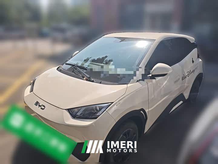 BYD Seagull Smart Drive 305km Vitality Edition