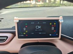 BYD Seagull Smart Drive 305km Vitality Edition - ფოტო 13