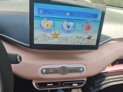 BYD Seagull Smart Drive 305km Vitality Edition - ფოტო 15
