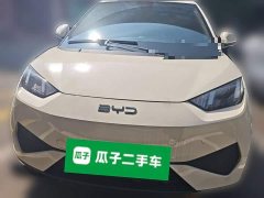 BYD Seagull Smart Drive 305km Vitality Edition - ფოტო 3