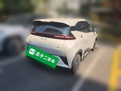 BYD Seagull Smart Drive 305km Vitality Edition - ფოტო 7