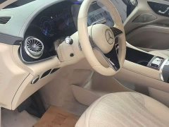 Mercedes-Benz Mercedes-EQ EQS SUV 450 4MATIC Pioneer Edition - ფოტო 5