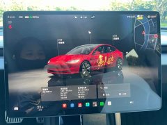 Tesla Model 3 2023 Rear-Wheel Drive - ფოტო 18