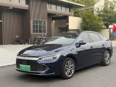 BYD Qin PLUS Champion Edition DM-i 120KM Leading - ფოტო 1