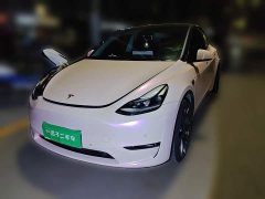 Tesla Model Y High Performance All-Wheel Drive - ფოტო 1