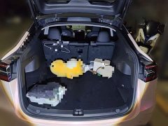 Tesla Model Y High Performance All-Wheel Drive - ფოტო 15