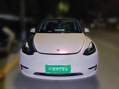 Tesla Model Y High Performance All-Wheel Drive - ფოტო 2