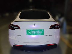Tesla Model Y High Performance All-Wheel Drive - ფოტო 3