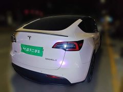 Tesla Model Y High Performance All-Wheel Drive - ფოტო 4
