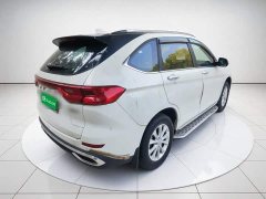 Haval M6 2021 PLUS 1.5T Manual Luxury Smart Connected Edition - ფოტო 4