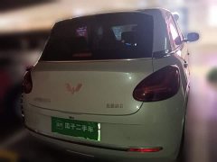 Wuling Binguo 203km Comfort Edition - ფოტო 3